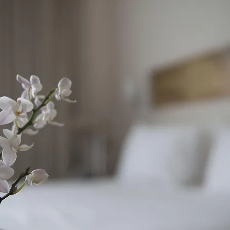 Zefyros Sea View Hotel Platamonas
