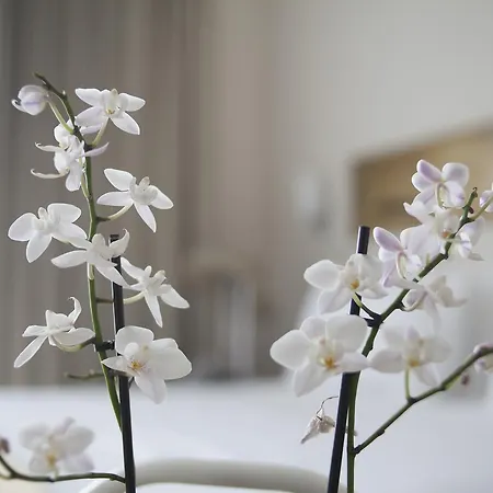 Szálloda Zefyros Sea View Platamónasz