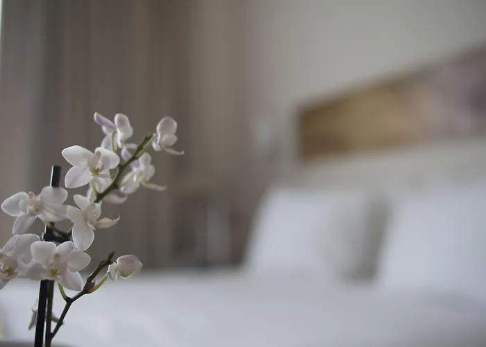 Zefyros Sea View Отель Платамонас