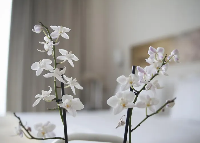 Отель Zefyros Sea View Платамонас